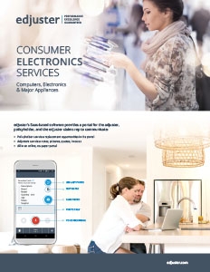 Consumer Electronics Services Brochure